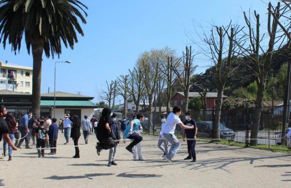 Fiestas Patrias 2024 en Colegio Alerce