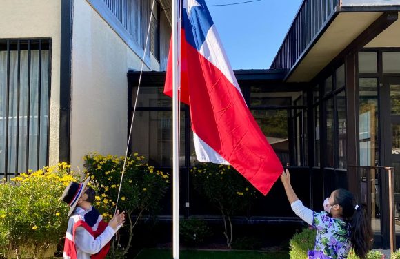 Fiestas Patrias 2024 en Colegio Alerce