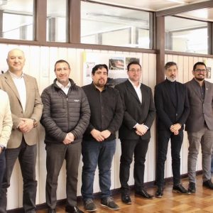 constitución del cade tp