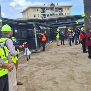 PARTICIPACIÓN SIMULACRO